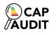 Logo de la société CAP AUDIT présent dans toutes les régions du Grand EST et Bourgogne Franche Compte