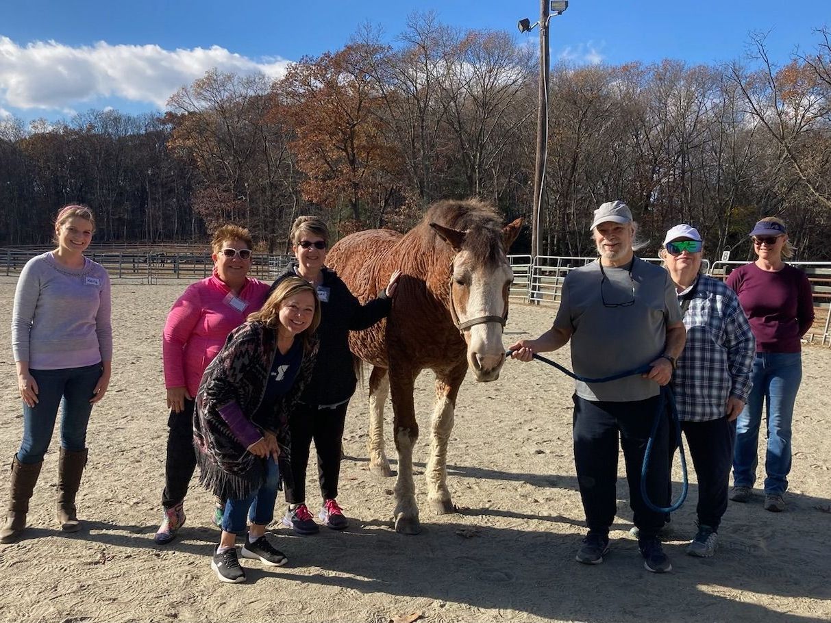 A group of people are posing for a picture with a horse