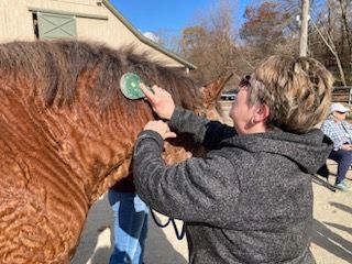 A woman is brushing a brown horse 's mane with a brush.