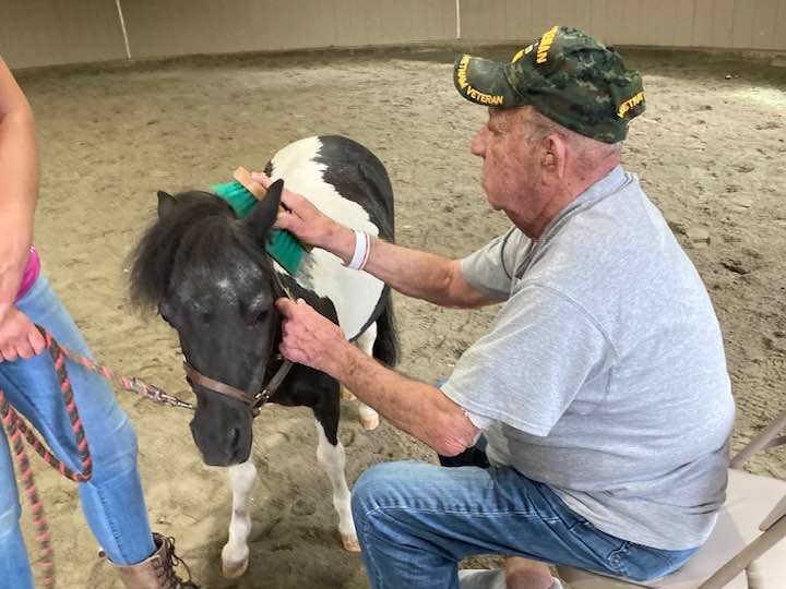 A man is petting a small black and white horse