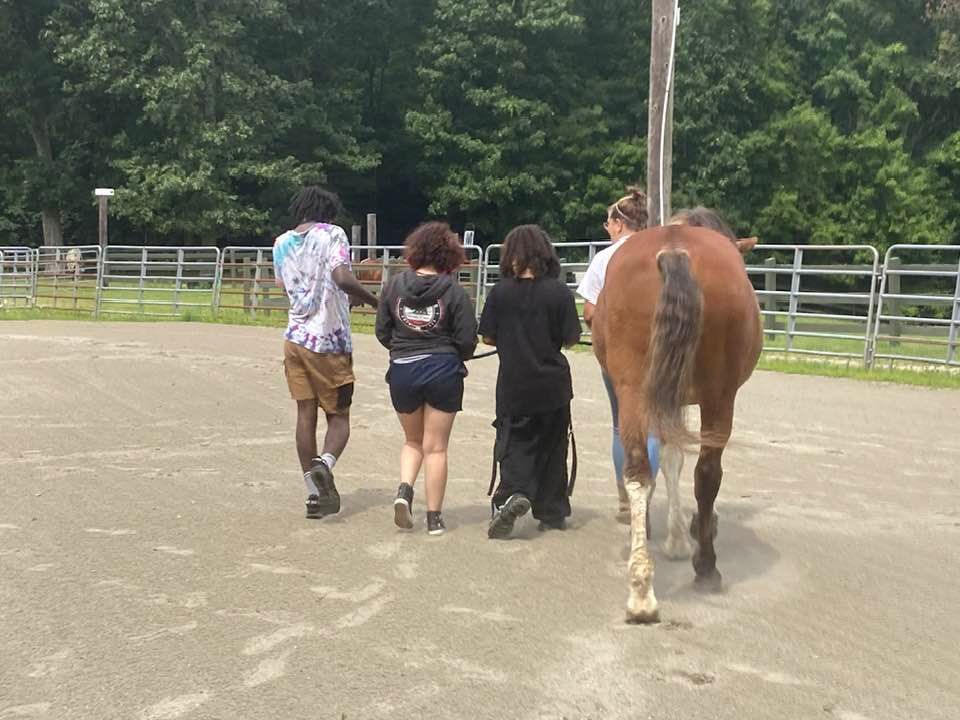 A group of people walking with a brown horse