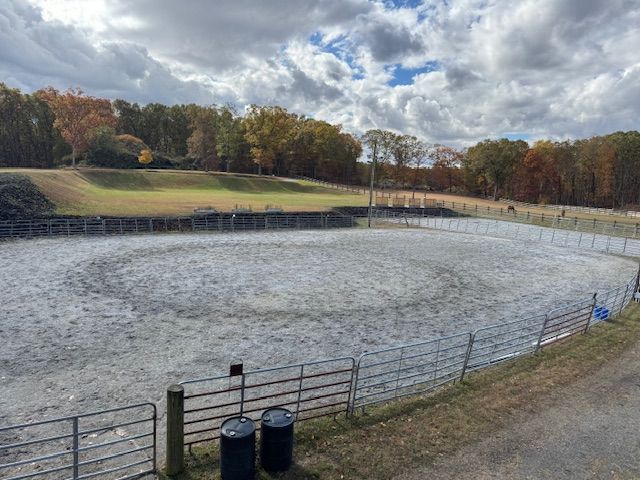 An outdoor horse arena with white fencing, a gray surface, and trees in the background under a cloudy sky.