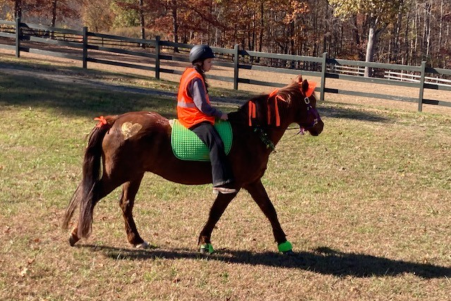 A woman is standing next to a child riding a horse