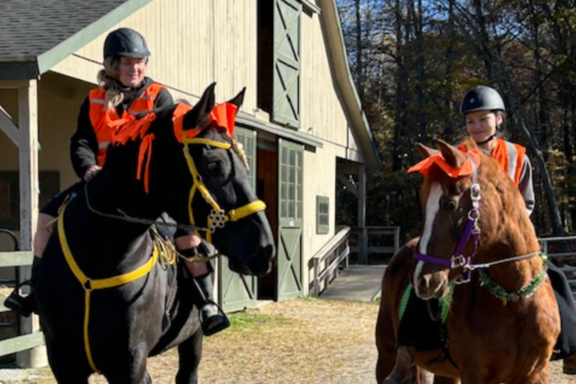 Two riders on horses, decorated with orange and green, outside a barn. Sunny day.