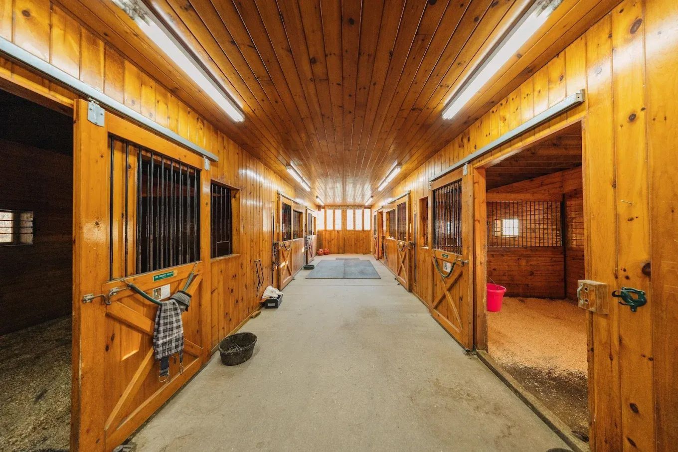 Empty horse stall with wood walls, shavings on the floor, and small windows.
