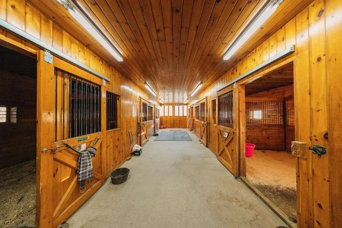 Empty horse stall with wood walls, shavings on the floor, and small windows.