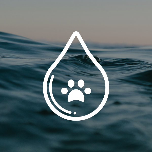 Communal Aquamation Services