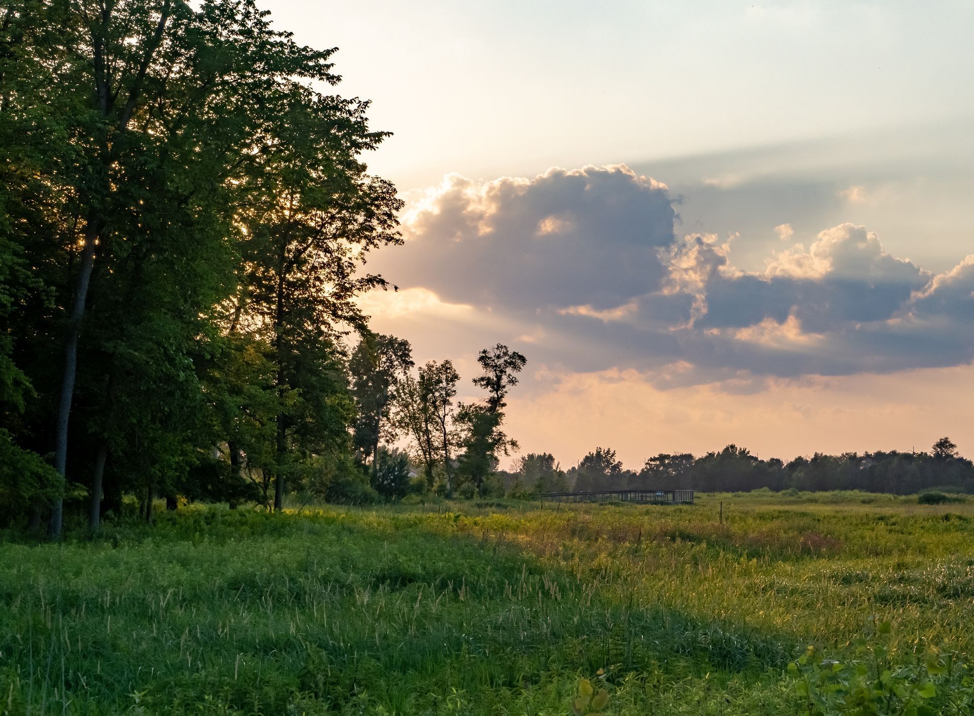 A grassy field at sunset with trees to the left and clouds in the sky.