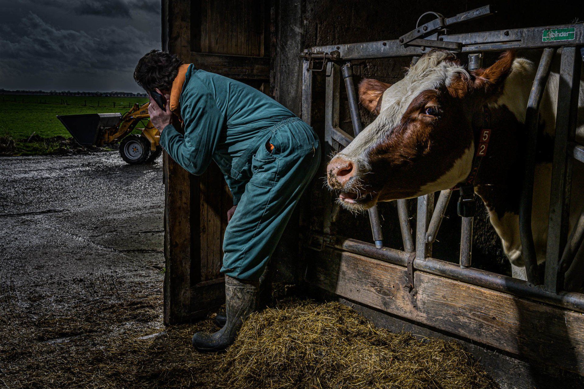 Een man staat naast een koe in een schuur.