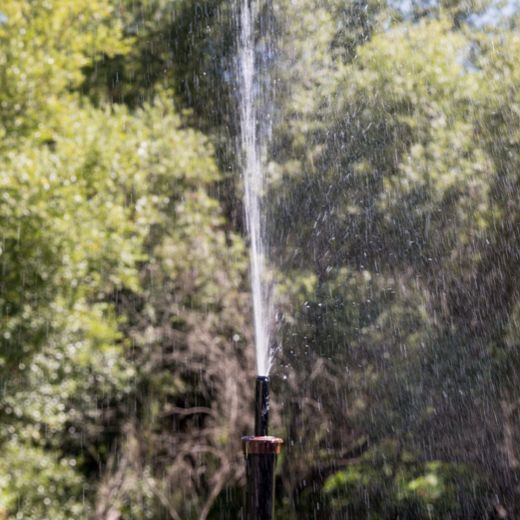 Sprinkler Spraying Water From a Pole