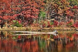 Nature — State Housing in Pembroke, MA