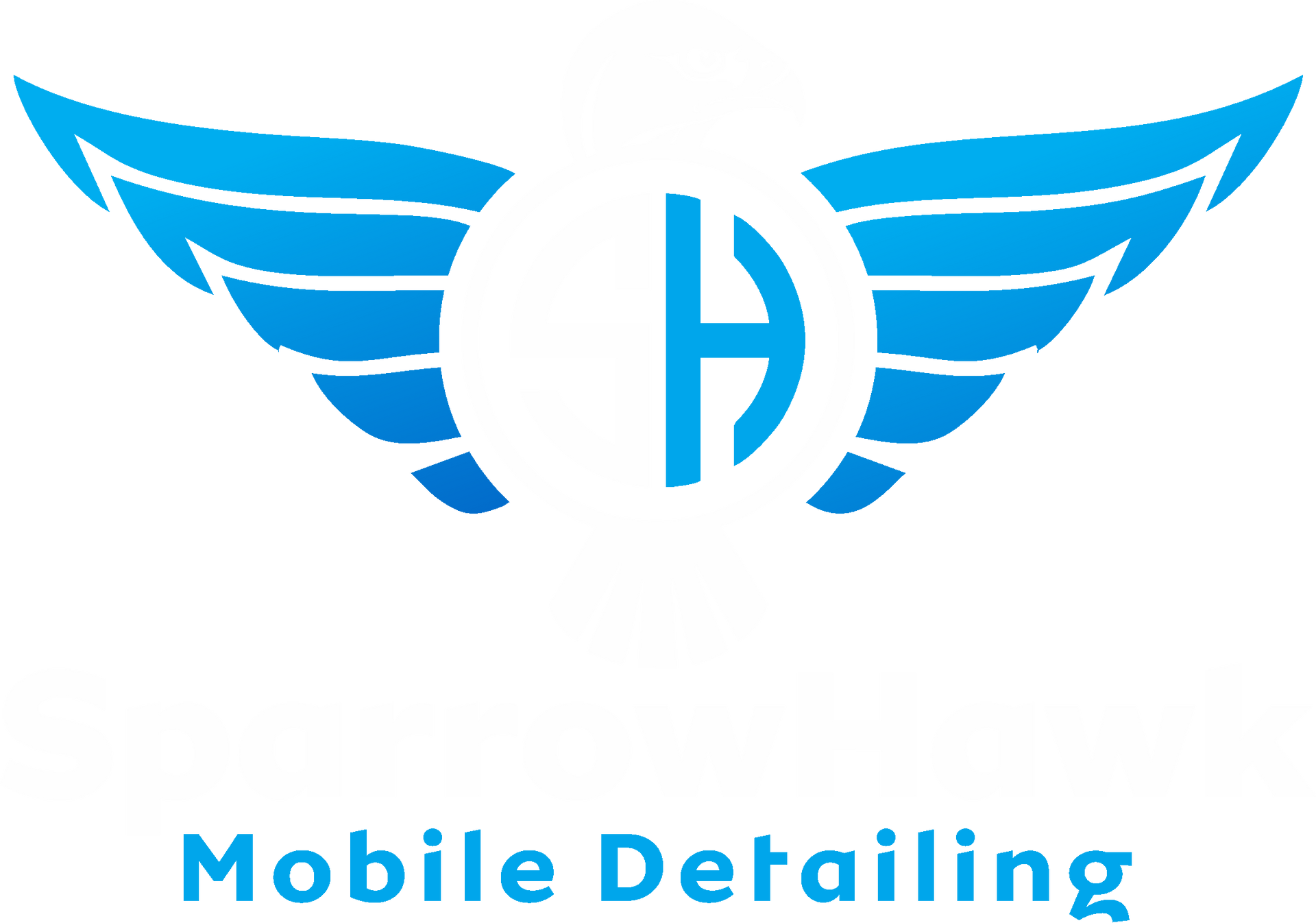 SparrowHawk Mobile Detailing