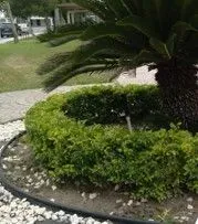 OTHON MULTISERVICIOS