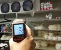 OTHON MULTISERVICIOS