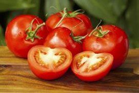 Tomatoes of Ruskin Tomatoes