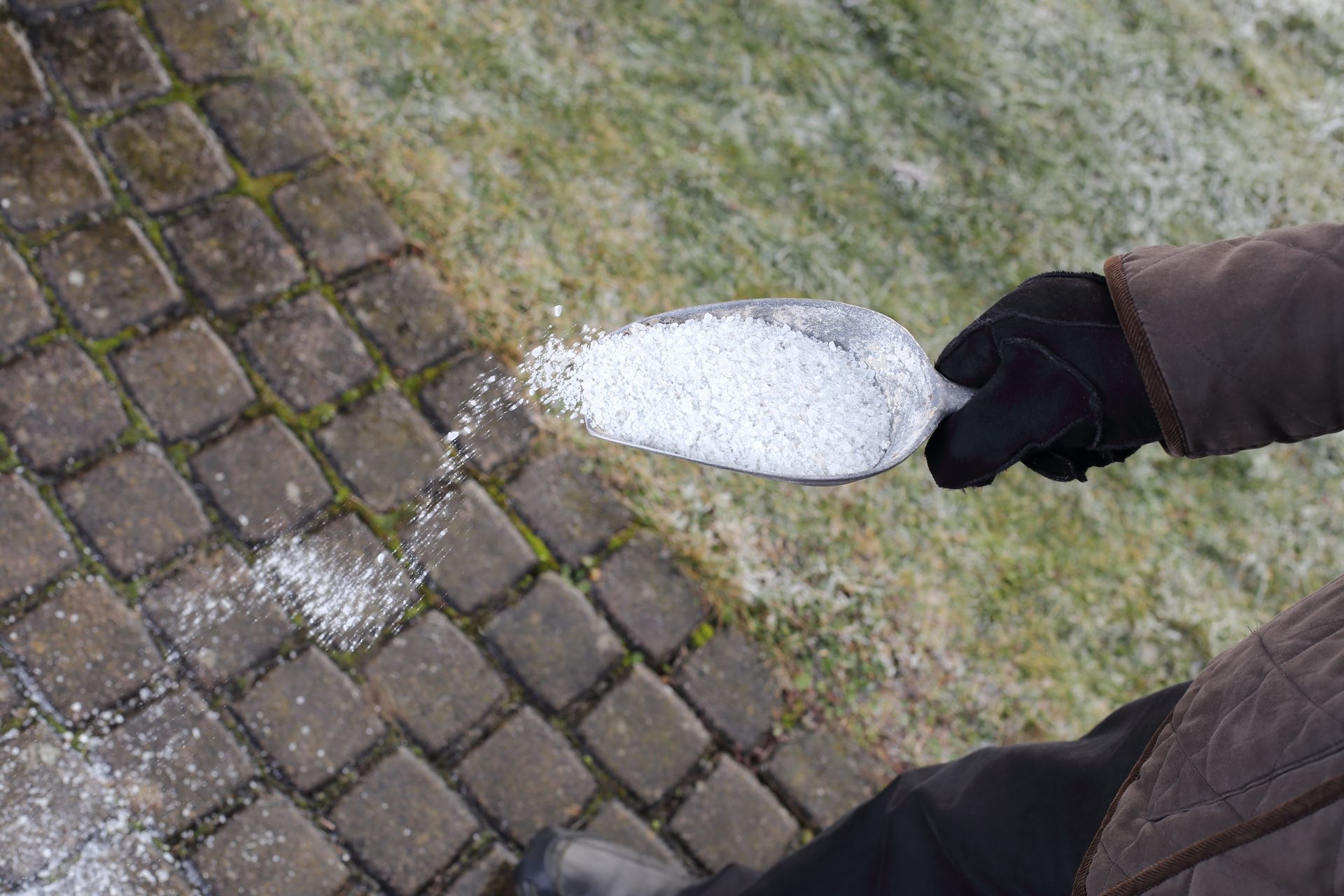 Person spreading salt with a scoop on a brick walkway to de-ice a surface.