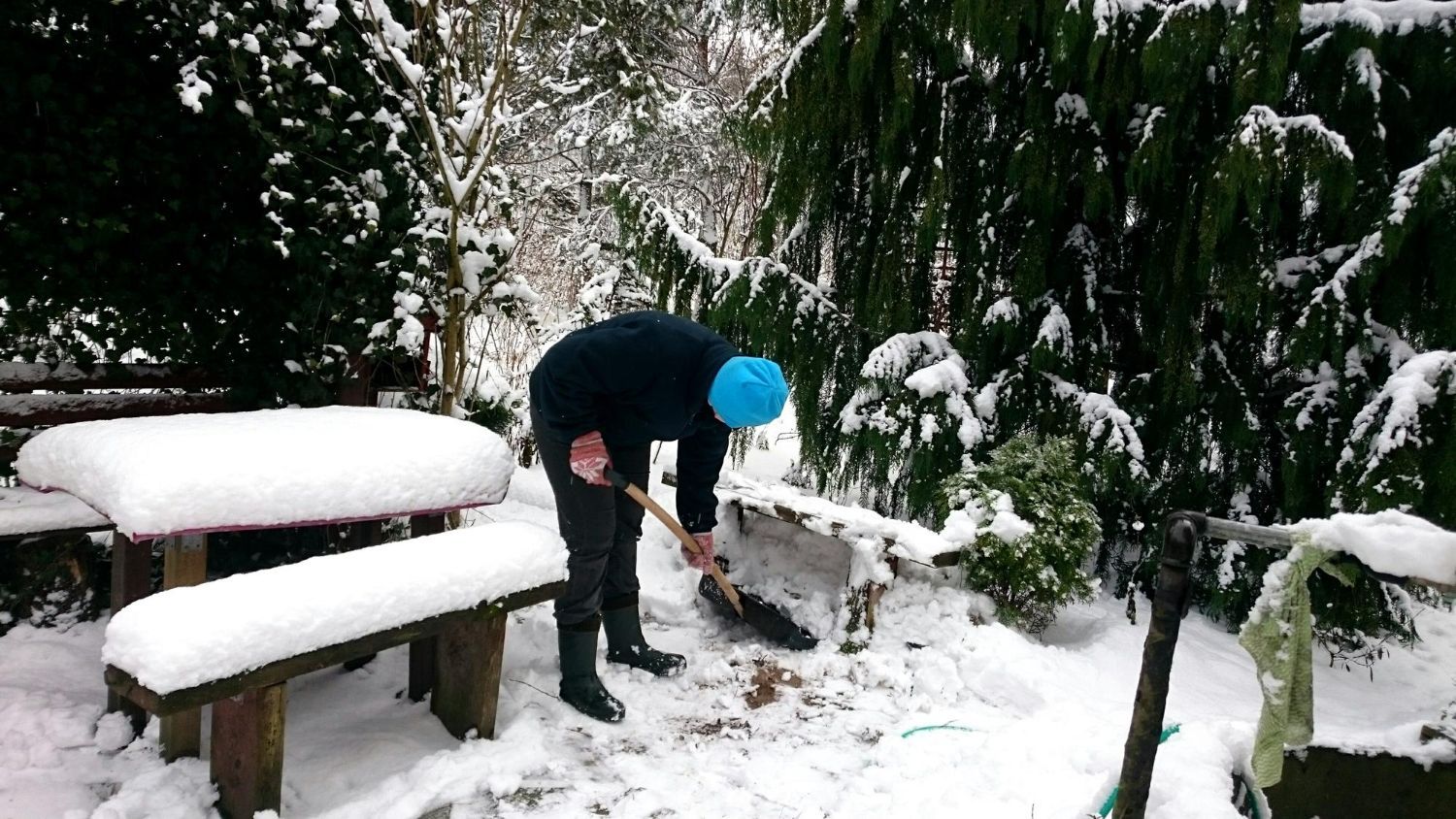 Person shoveling snow in a snow-covered backyard, next to a bench and evergreens.