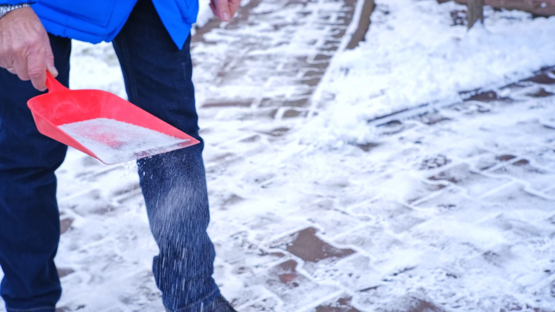 Man in blue jacket and dark pants spreading salt on snowy sidewalk with a red scoop.