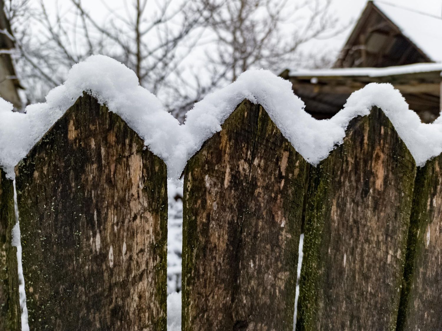 Snow-covered wooden fence with a zig-zag top, blurred background of trees and a weathered wooden building.