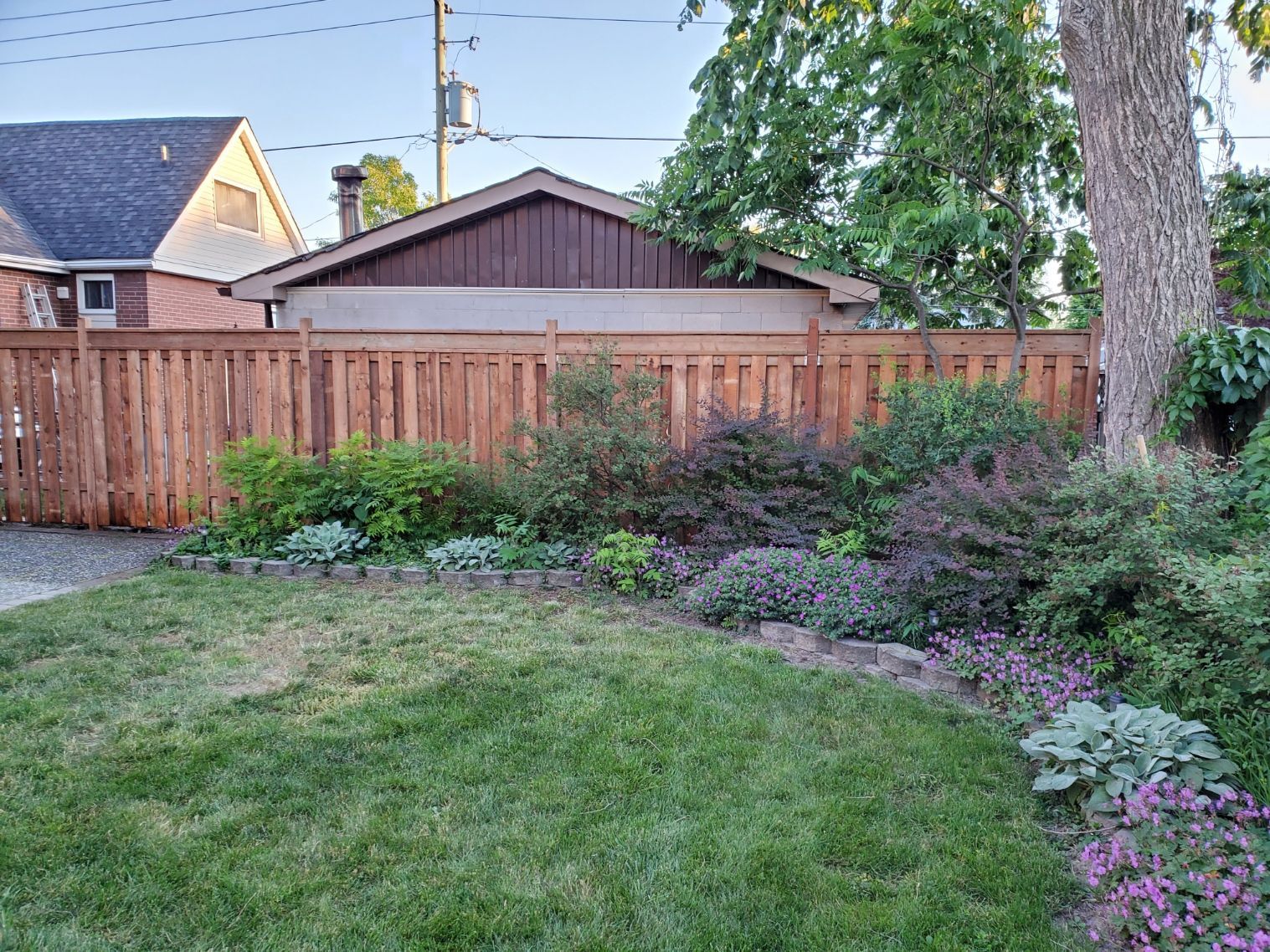 a backyard with a wooden fence and a house in the background .