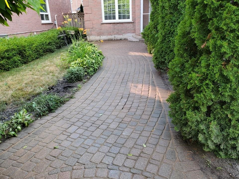a brick walkway leading to a house surrounded by trees and bushes .