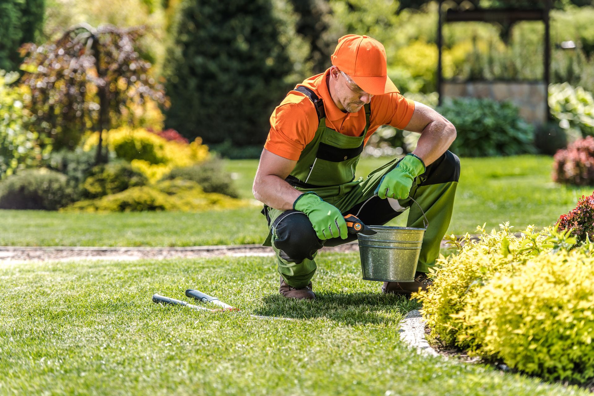 a man is kneeling down in a garden with a bucket .