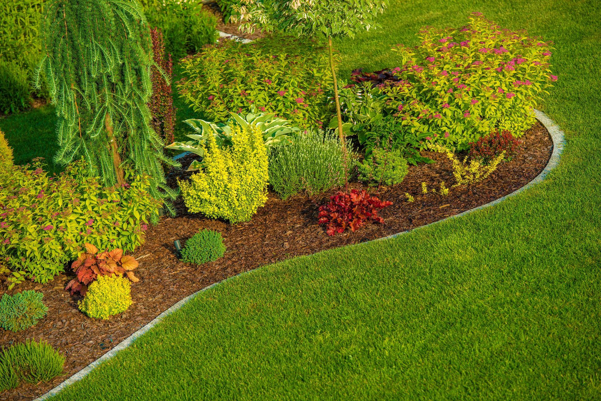 a lush green garden with lots of plants and flowers