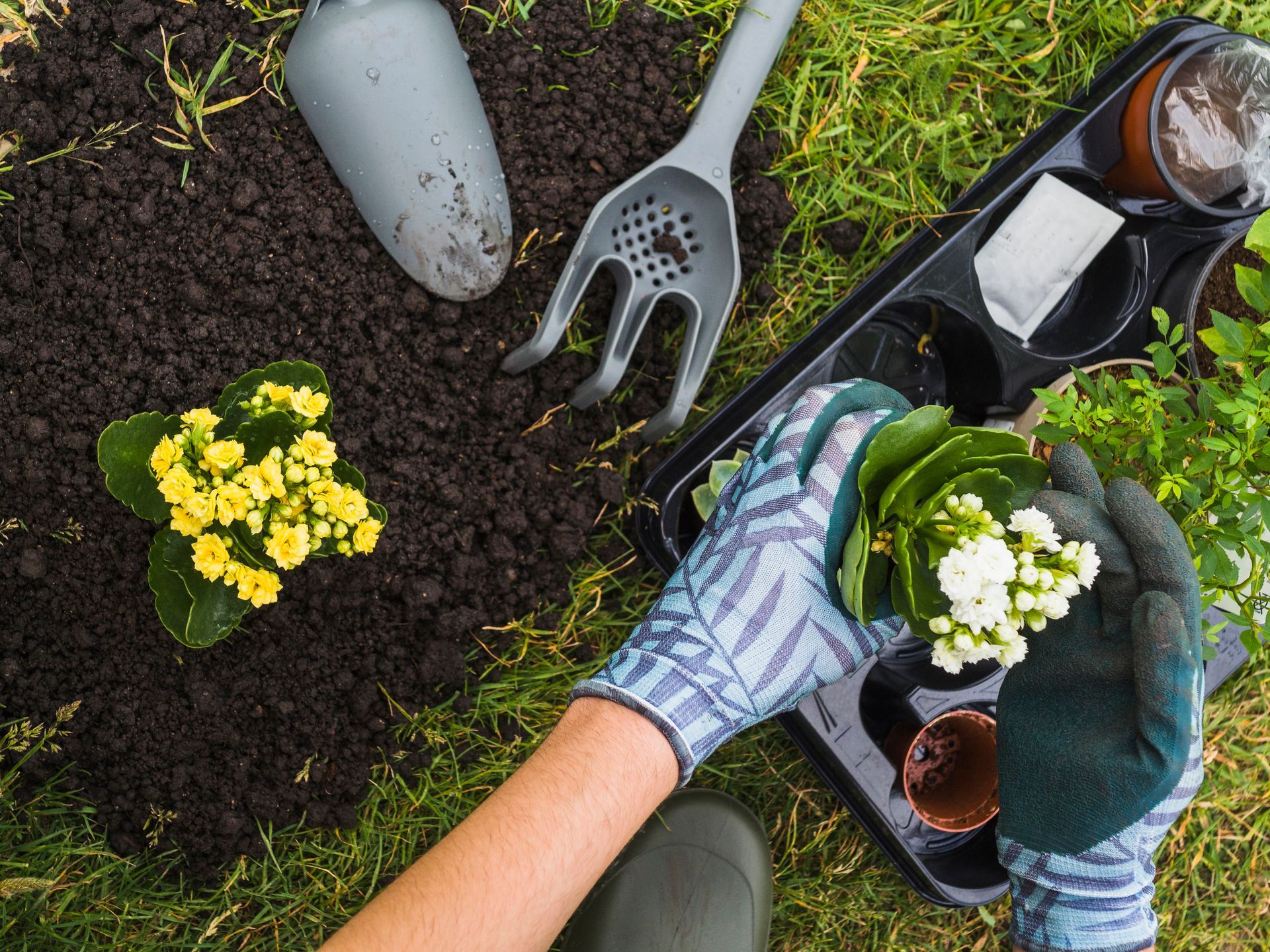 a person is planting flowers in pots in a garden .