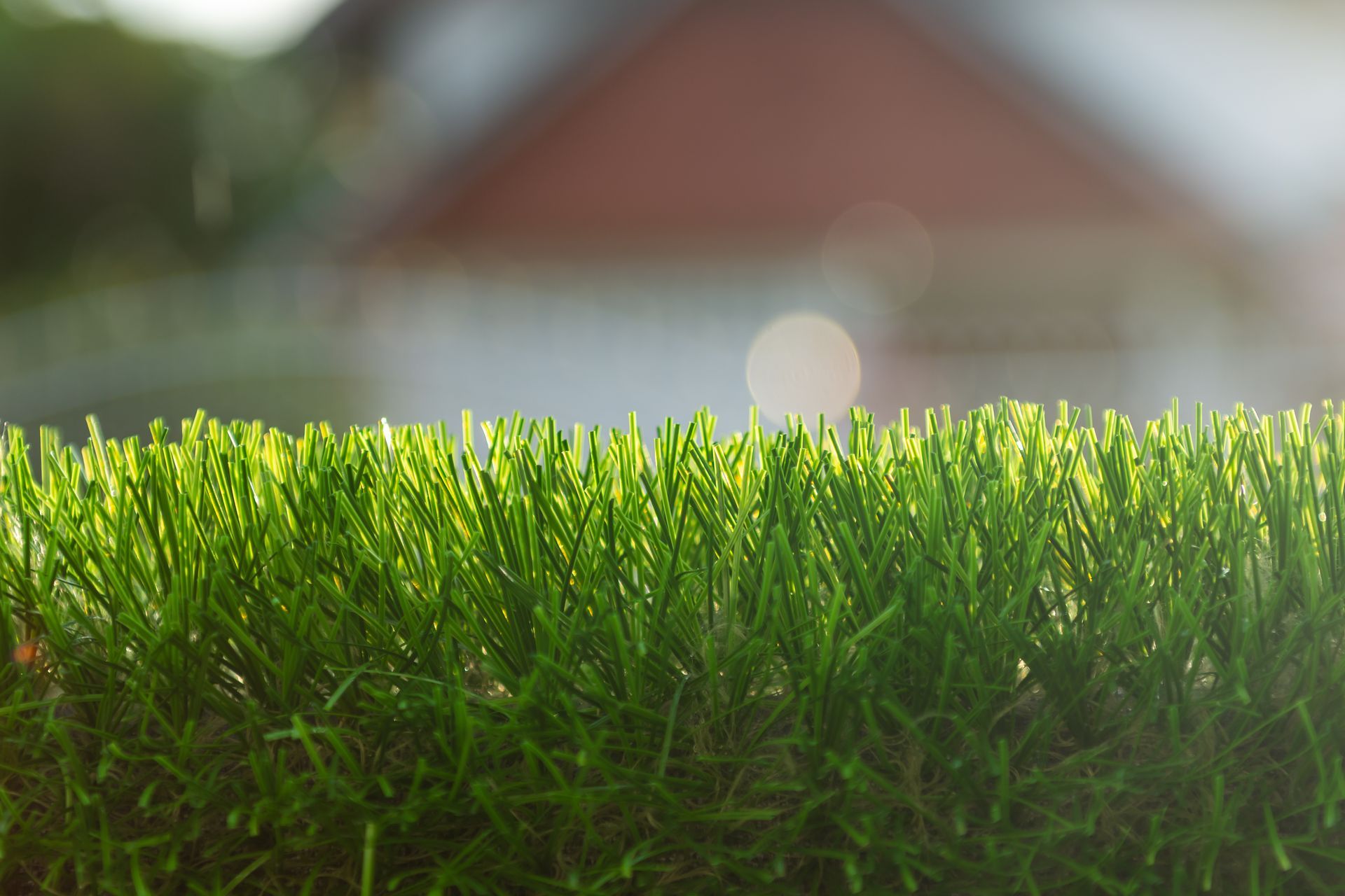 A close up of a lush green field of grass with a house in the background.