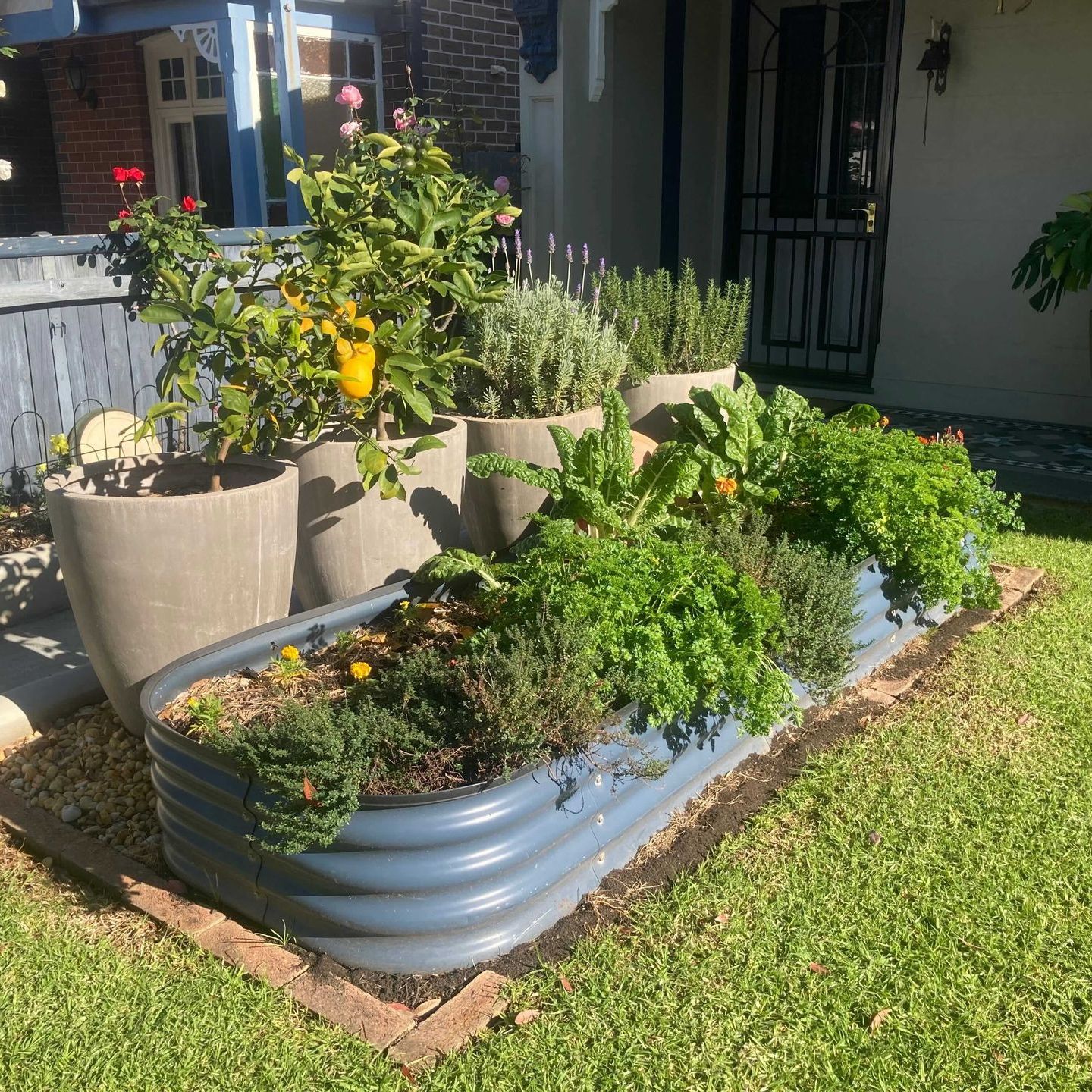 a row of potted plants in front of a house