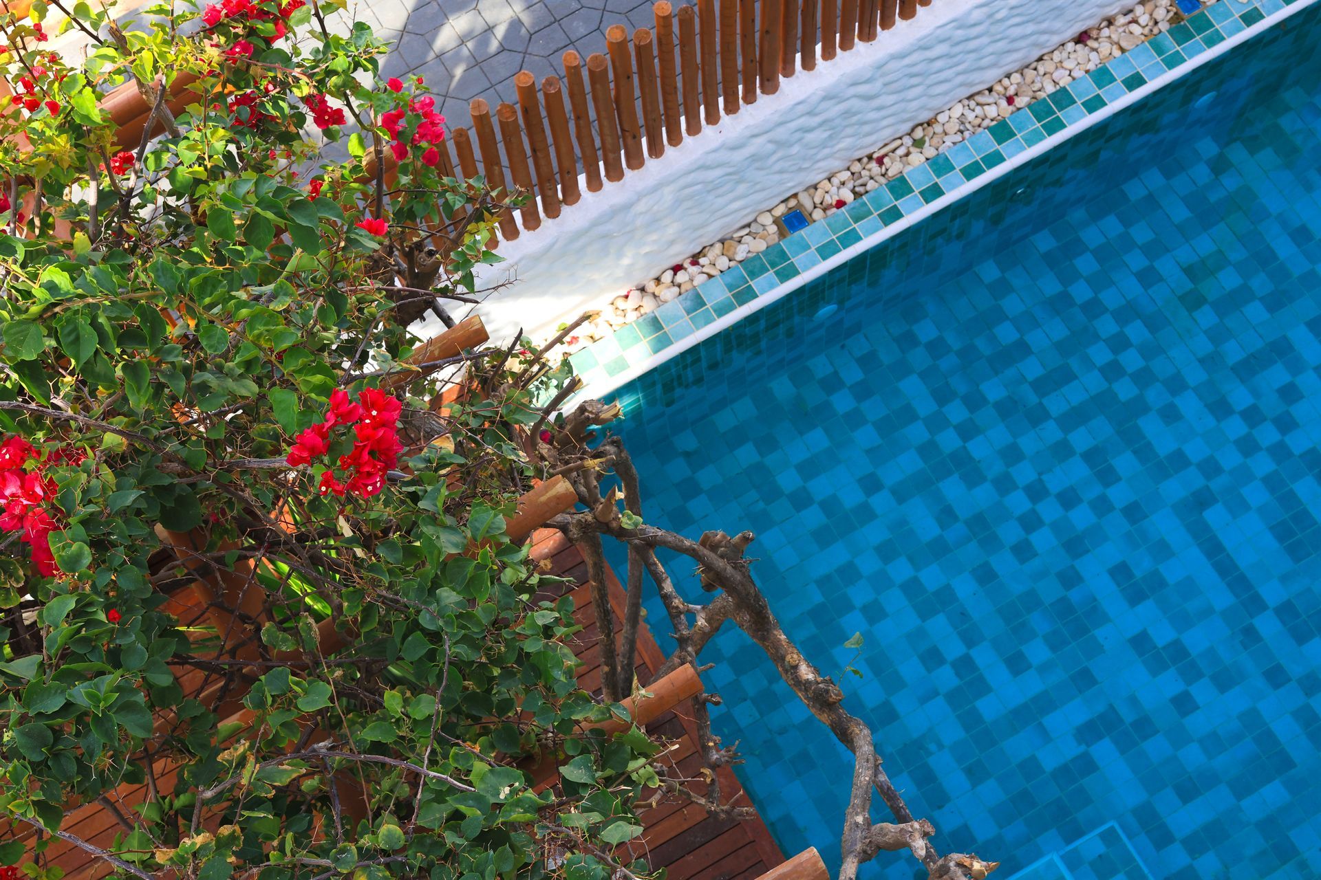 Uma vista aérea de uma piscina com flores em primeiro plano