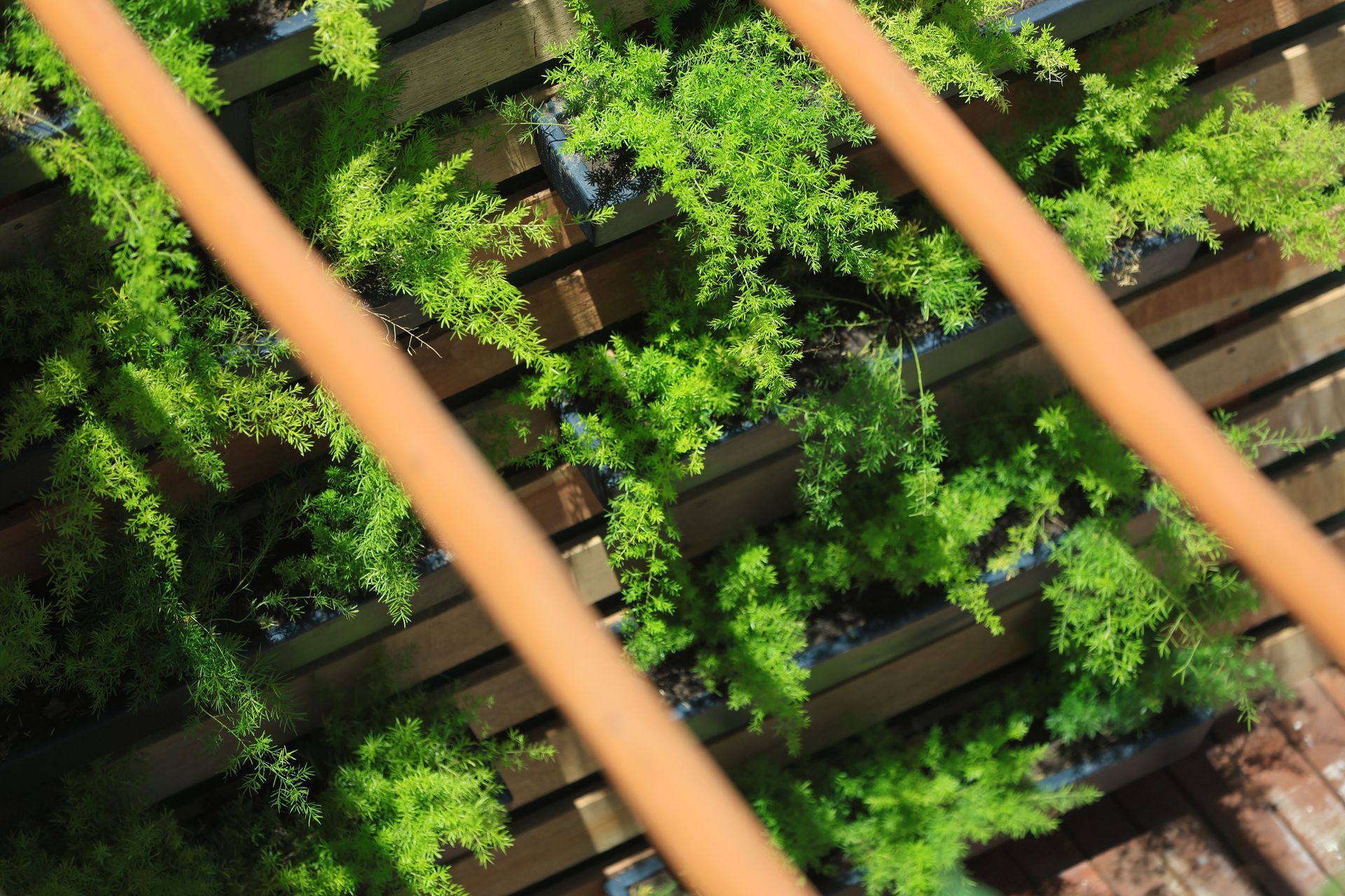 Uma cerca de madeira com muitas plantas verdes crescendo nela