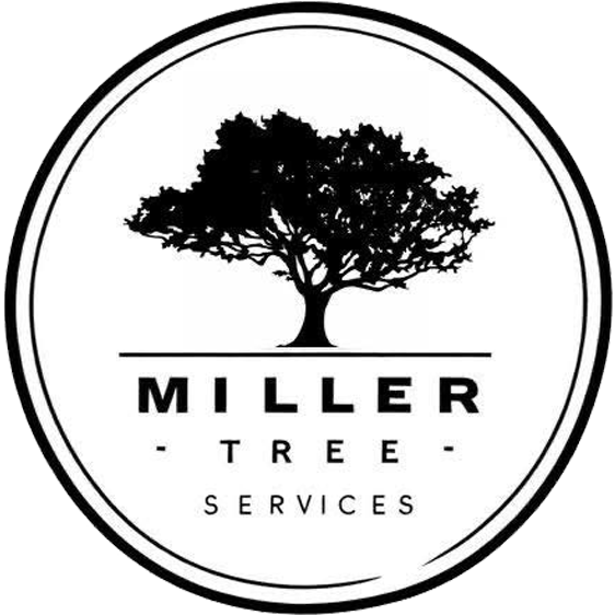 Miller Tree Services
