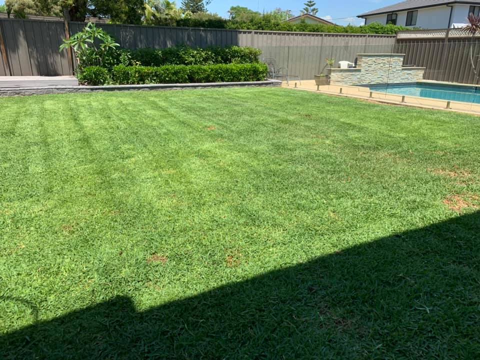 Lawn beside the pool | Emu Heights, NSW | Penrith Valley Garden Care