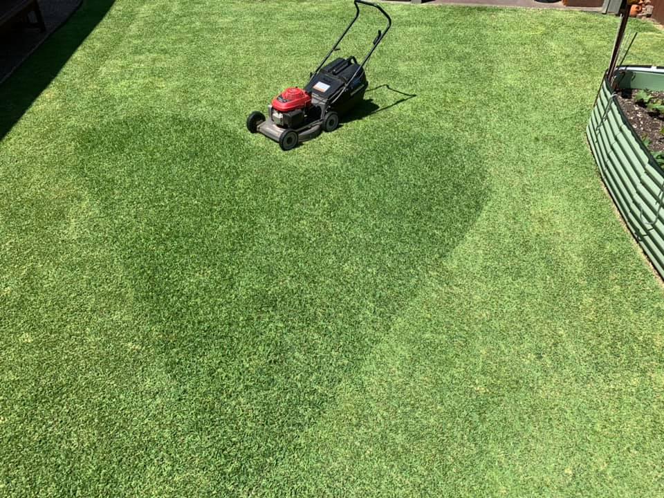 Heart shaped lawn with mower | Emu Heights, NSW | Penrith Valley Garden Care