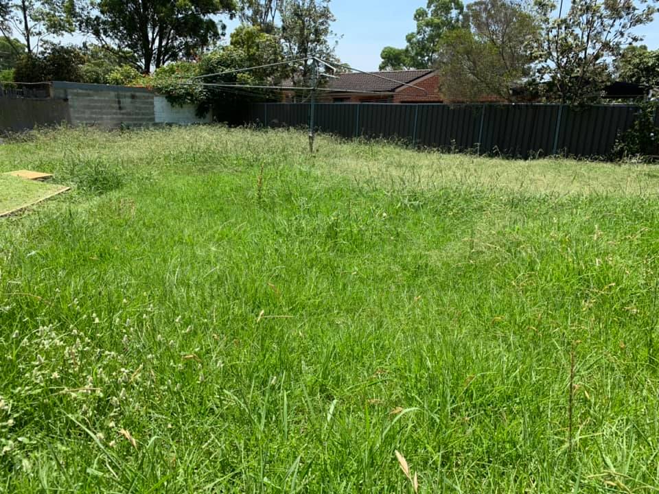 Before grass mowing | Emu Heights, NSW | Penrith Valley Garden Care
