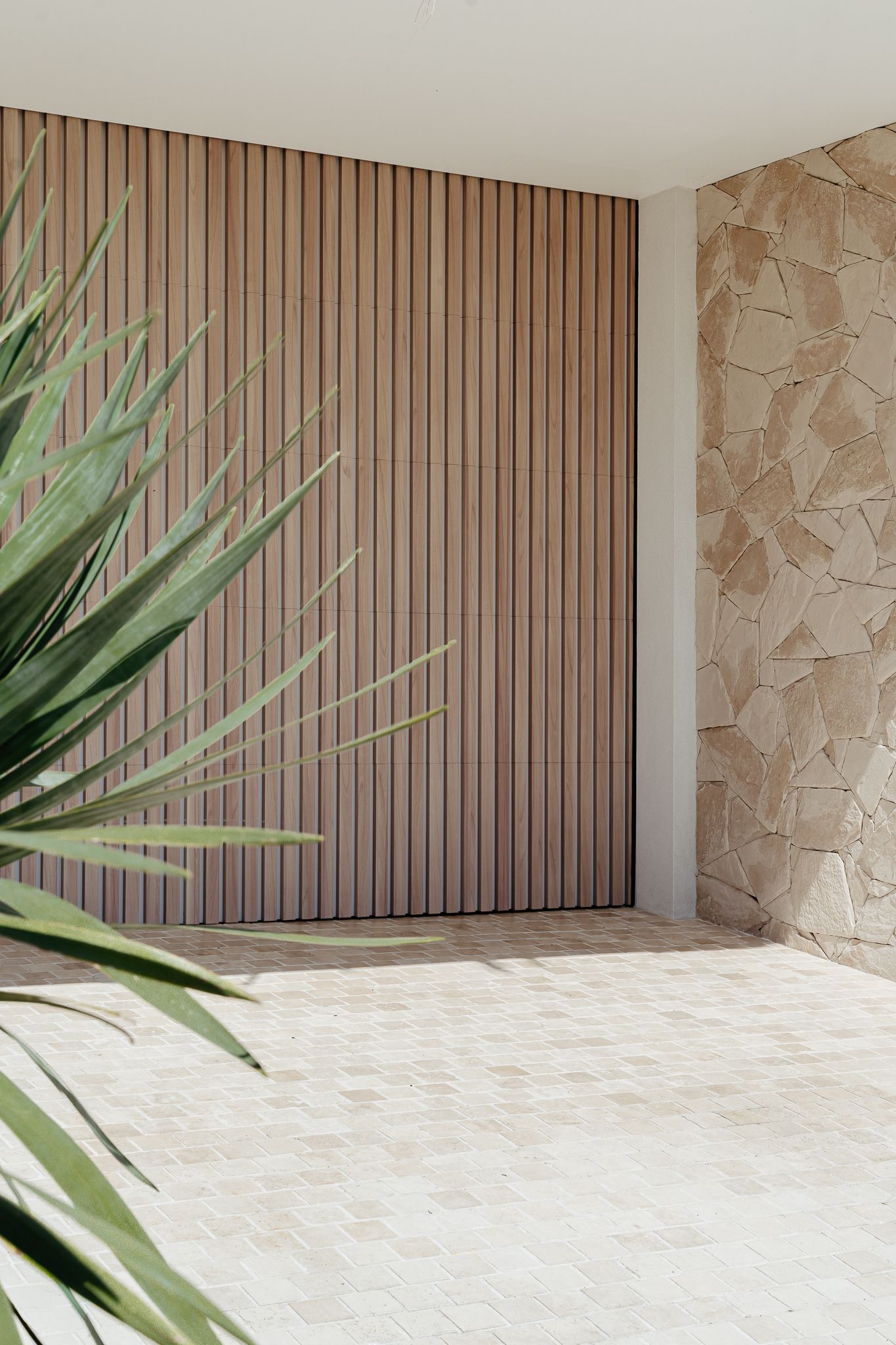 Wooden-paneled Wall and Stone Wall Corner With Plant in the Foreground — SDC Building Design In Kiama, NSW