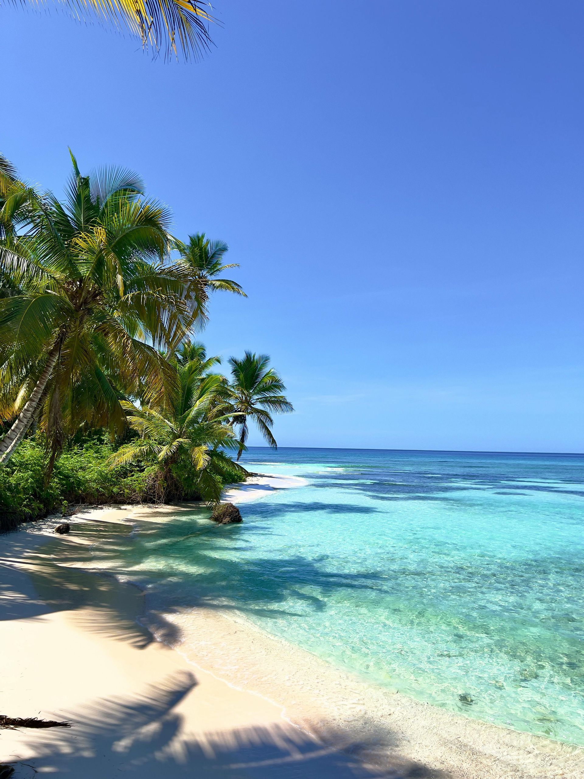Beach with white sand, turquoise water, palm trees, and a clear blue sky.