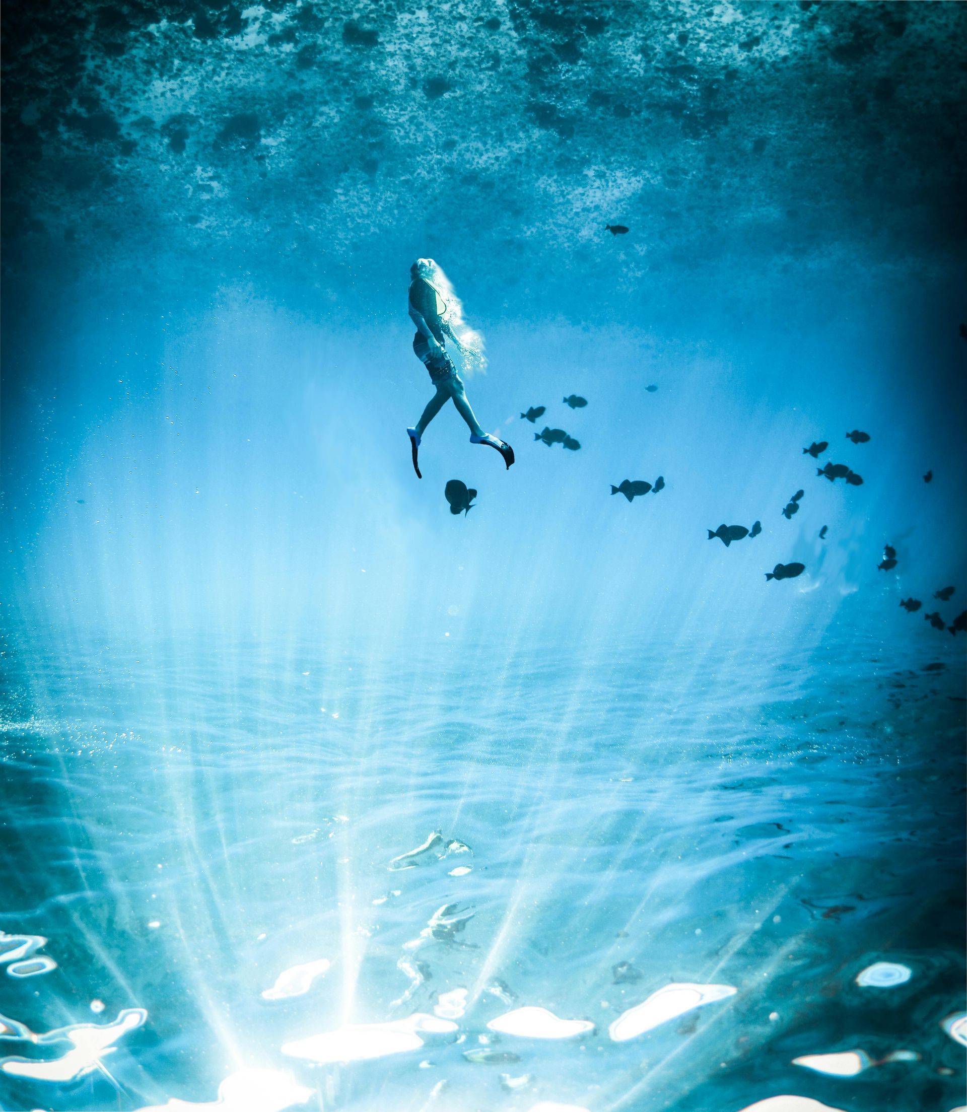 Diver swimming through sunlit, turquoise water with a school of fish.