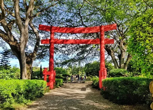 Red Japanese Torii gate in a park setting, framed by trees and greenery.