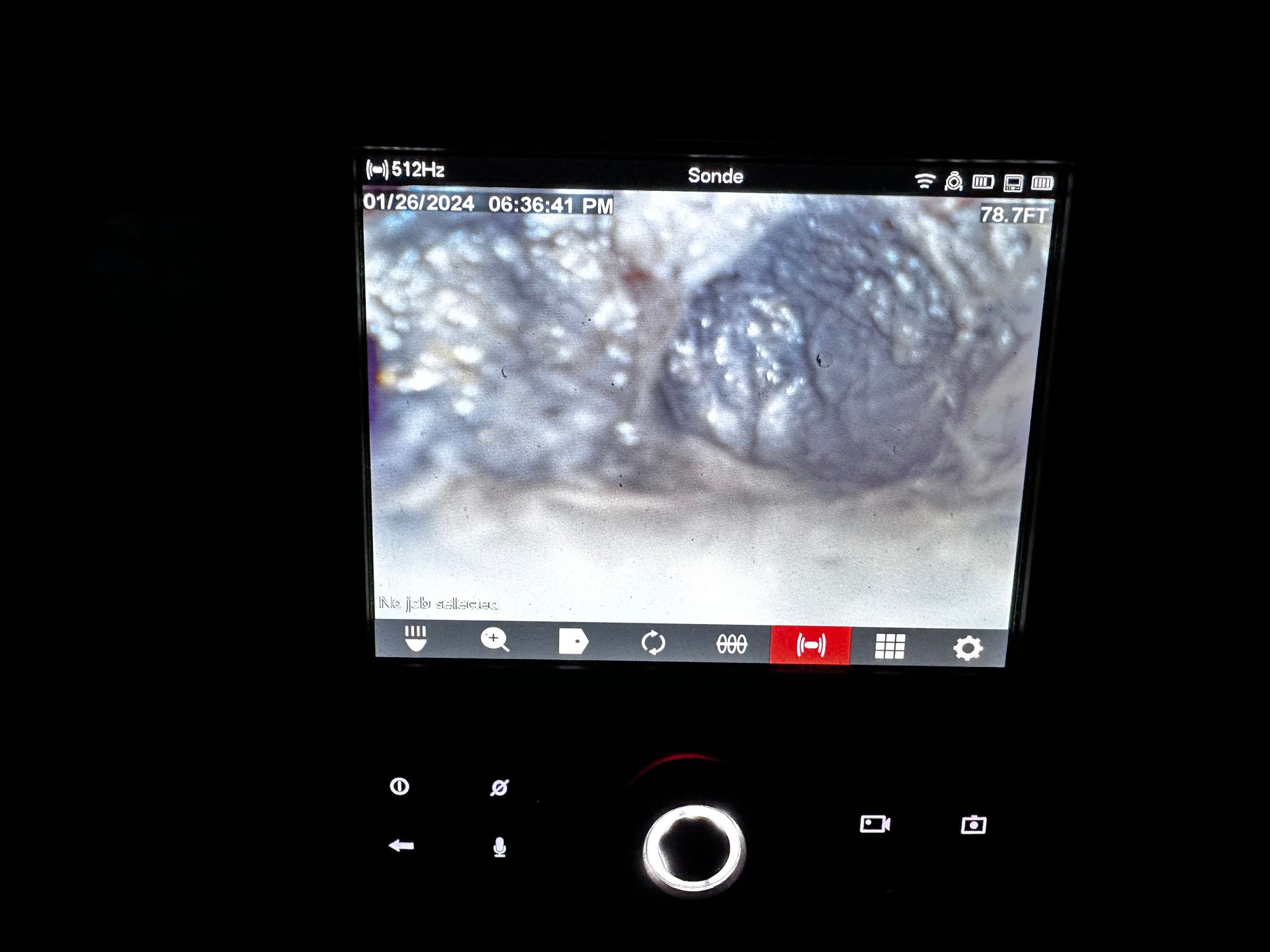 A screen shows a picture of a squirrel and the time is 3:41
