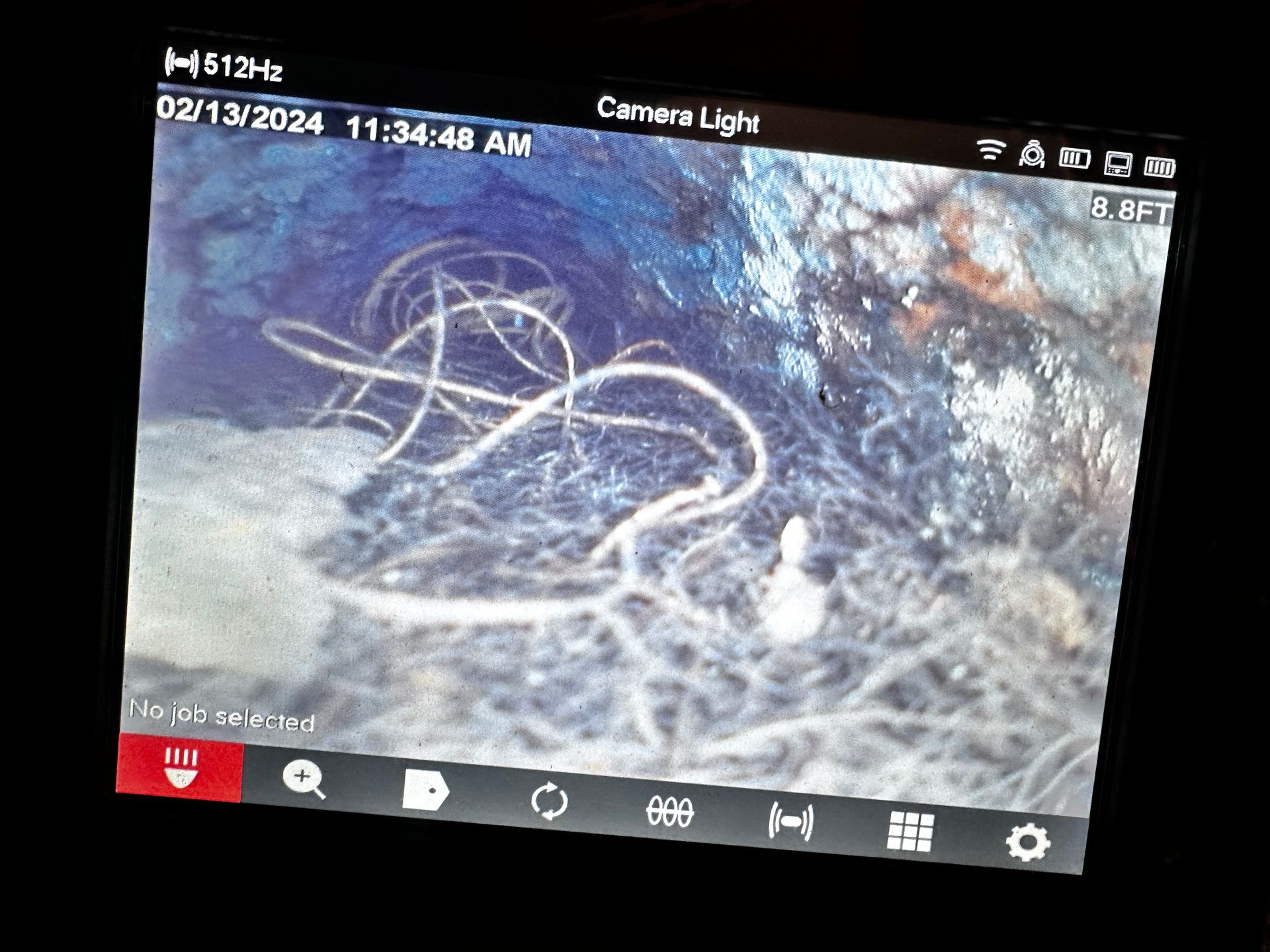 A screen shows a picture of a worm and the date 02/13/2024