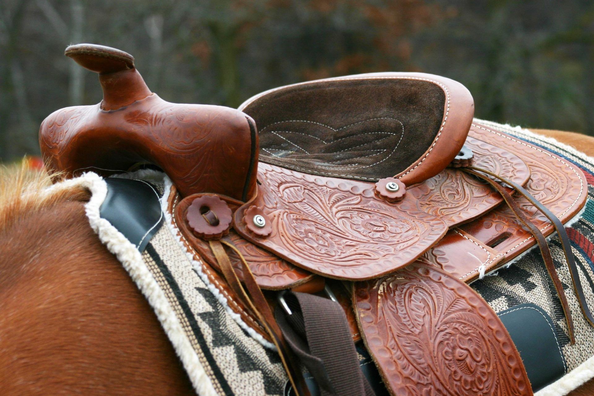 Horse Saddles Tack — Galesburg, MI — The Western Breed