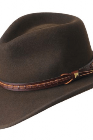 Bailey Firehole Beaver — Galesburg, MI — The Western Breed