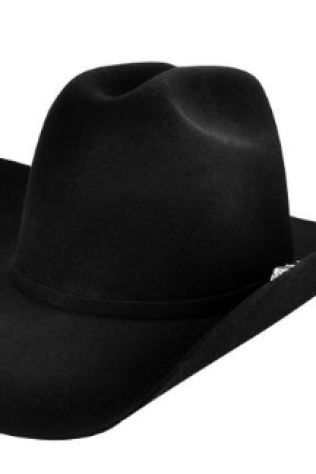 Bailey Wheeler Black — Galesburg, MI — The Western Breed