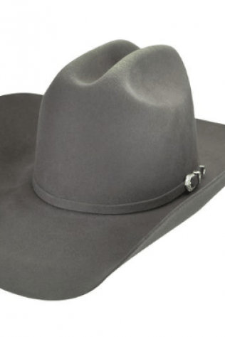 Bailey Wheeler Stag — Galesburg, MI — The Western Breed