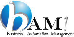 BAM1, Inc Logo
