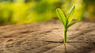 Nature’s Touch Garnett — Rejuvenating Plant in Garnett, KA Nature’s Touch Garnett — Rejuvenating Plant in Garnett, KA