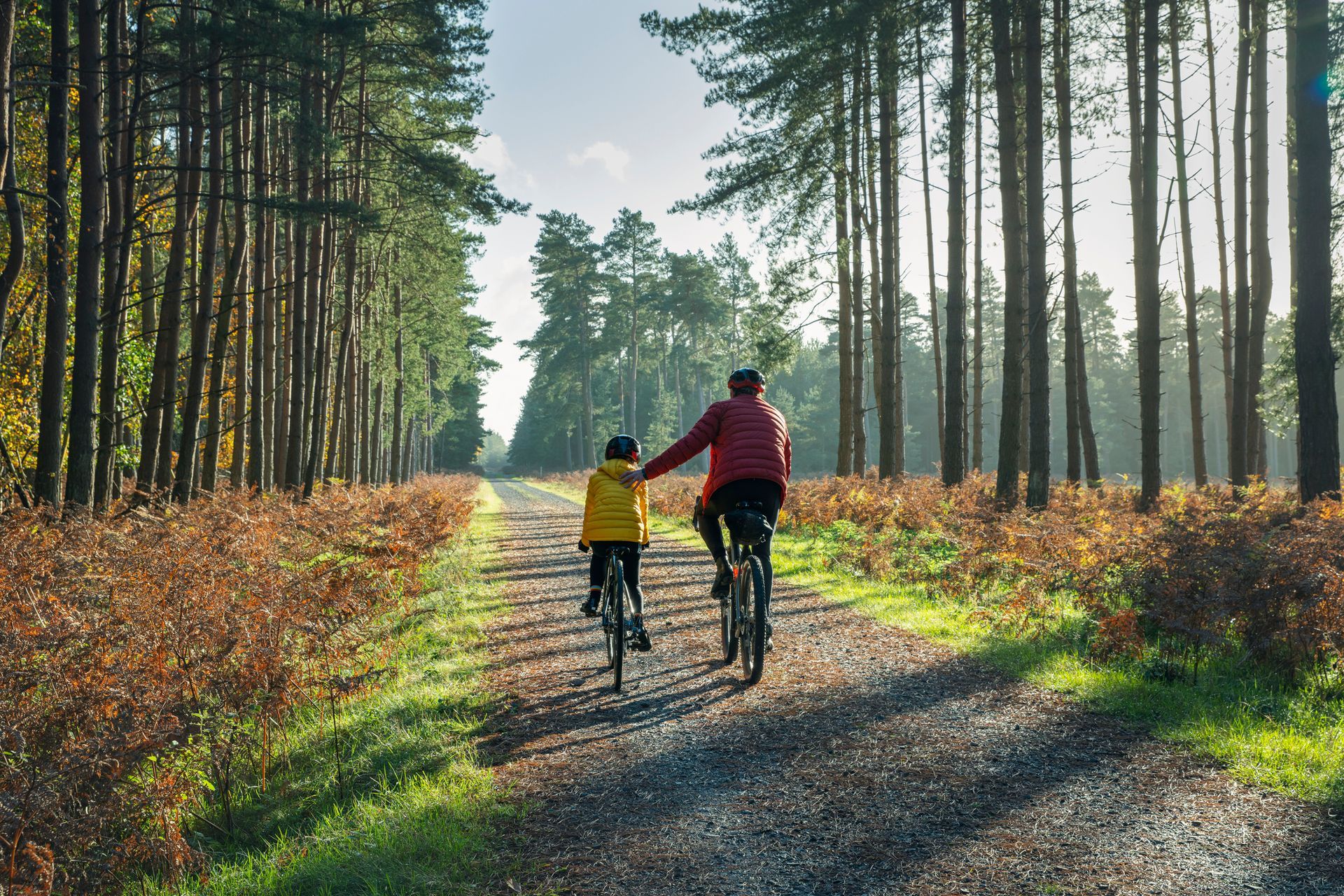 Person and child cycling down a forest path, autumn foliage, sunny day.