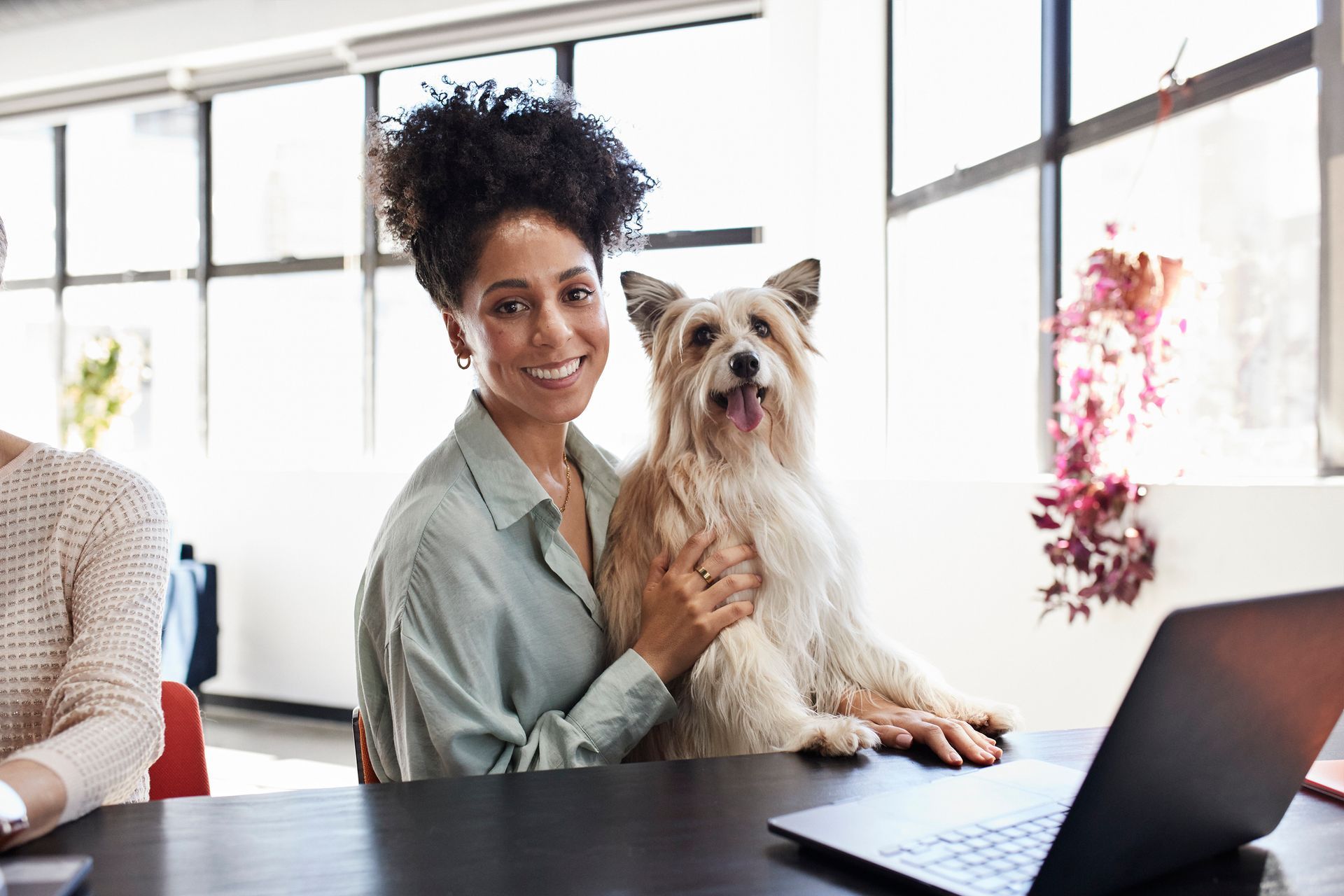 Woman smiles, holding a dog at an office desk with a laptop. Bright room with large windows.